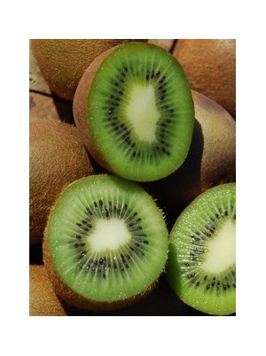 Kiwi vert Bio origine France-la pièce(cal 30/33)