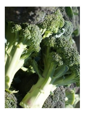 Brocoli Bio Espagne-500g