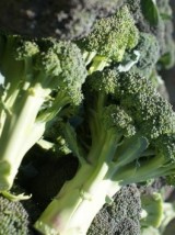 Brocoli Bio Italie/Espagne-500g