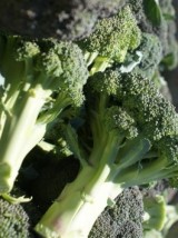 Brocoli Bio Espagne-500g