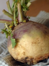 Rutabaga Bio de France- 500g