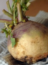 Rutabaga Bio de France- 500g