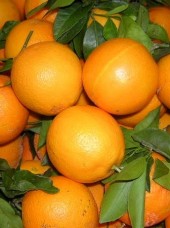 Orange mi-sanguine Tarocco Bio d'Italie Sicile-le kg