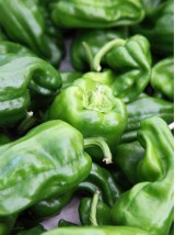 Poivron vert Bio d'Italie- le kg