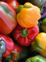 Poivron rouge Bio d'Espagne - 1kg