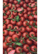 Tomate grappe Rougeline de France- 500g (très bonne, cocktail)