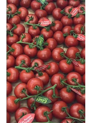 Tomate grappe Rougeline de France- 500g (tr&egrave;s bonne, cocktail)