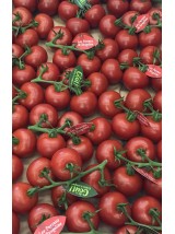 Tomate grappe Rougeline de France- 500g (très bonne, cocktail)