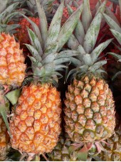 Ananas Bio du Togo - le kg (avion, cueilli mûr)