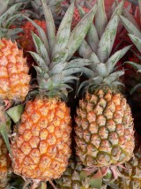 Ananas cayenne Bio Cameroun -le kg (avion)