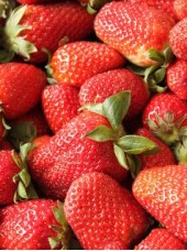 Fraise Dream Bio France -500g