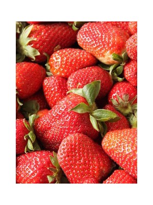 Fraise Dream Bio France -500g