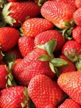 Fraise Dream Bio France -500g