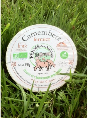 Camembert Bio fermier Aulnays -240g