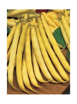 Haricot beurre Bio Bretagne France - 500g