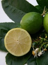 Citron lime Bio origine Mexique - 500g