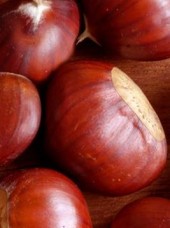 Châtaigne bio de France-300g (grosses G0)