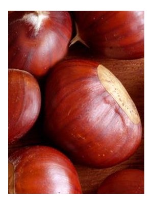 Châtaigne bio de France-300g (grosses G0) Châtaigne bio de France-300g (grosses G0)