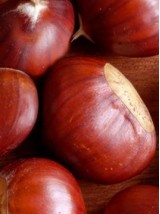 Châtaigne bio de France-300g (grosses G0)