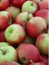 Pomme Elstar de Moselle - 1kg