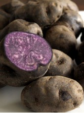 PdT Vitelotte Bio de France -500g