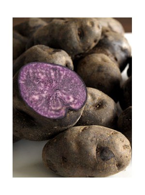 PdT Vitelotte Bio de France -500g PdT Vitelotte Bio de France -500g