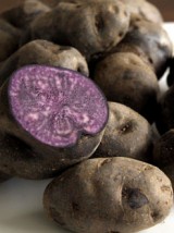 PdT Vitelotte Bio de France -500g