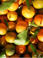 Mandarine Nadorcott Bio Maroc-500g