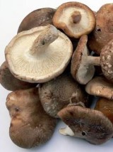 Champignon Shitake Bio d'Allemagne-150g