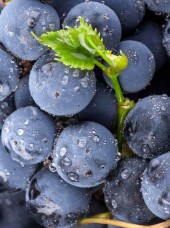Raisin Bio d'Italie -500g