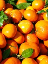Clémentine Bio Italie -500g 