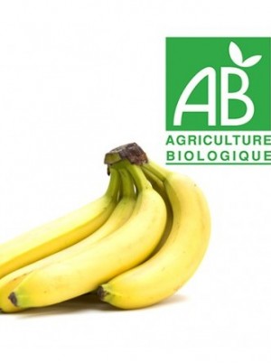 Banane Bio Cavendish de la République Dominicaine- le kg