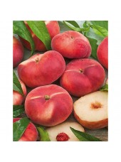 Pêche blanche Bio France- 500g