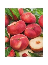 Pêche plate Bio de France- 500g