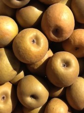 Pomme canada grise Bio de France-1kg (à cuire)
