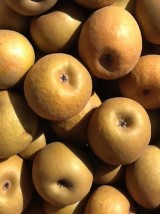 Pomme Bio Patte de Loup de France -1kg (parfumée et acidulée)