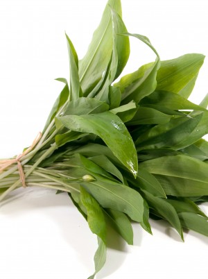 Ail des ours Bio France- la botte