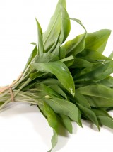 Ail des ours Bio France- la botte