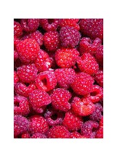 Framboise Bio Espagne- barquette 125g