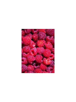 Framboise Bio Espagne- barquette 125g