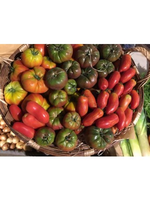 Mélange de tomates anciennes Bio de France- le kg Mélange de tomates anciennes Bio de France- le kg