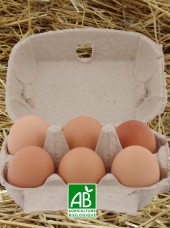 6 oeufs frais Bio de Lorraine- calibre M