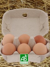 6 oeufs frais Bio d'Alsace