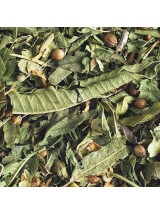 La lumineuse Bio-sachet de 50g (Infusion bio Tilleul - Verveine)