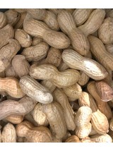 Cacahuètes non décortiquées Bio d'Egypte- vrac 250g